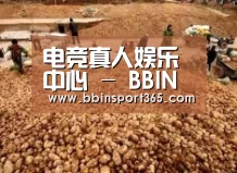种植基地二