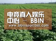 种植基地五(图1)