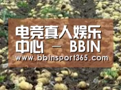 种植基地八(图1)