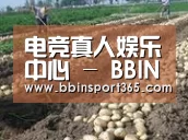 种植基地八