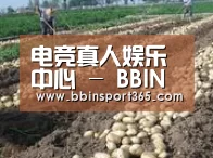 种植基地七(图1)