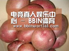 产品展示标题1