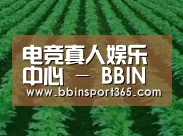 种植基地六