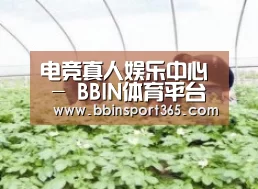 种植基地三