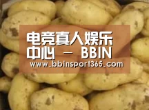 产品展示标题6