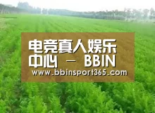种植基地四