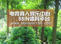 种植基地九