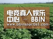 种植基地五