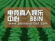 种植基地六(图1)