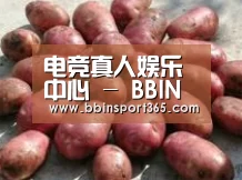 产品展示标题5(图1)