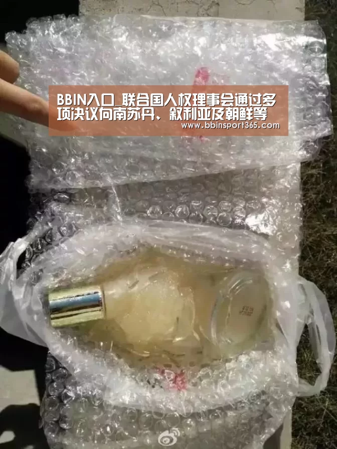 BBIN入口_联合国人权理事会通过多项决议向南苏丹、叙利亚及朝鲜等国施压(图2) BBIN电竞