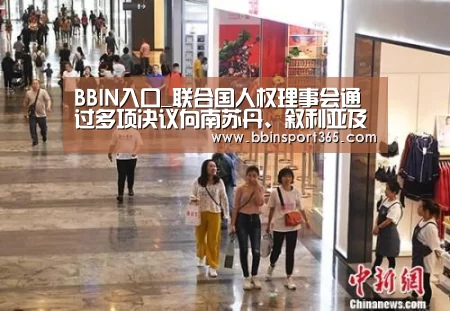 BBIN入口_联合国人权理事会通过多项决议向南苏丹、叙利亚及朝鲜等国施压(图3) BBIN登录