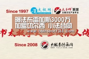 曝法布雷加斯3000万加盟切尔西 小法合同下周宣布-BBIN入口(图2) BBIN入口