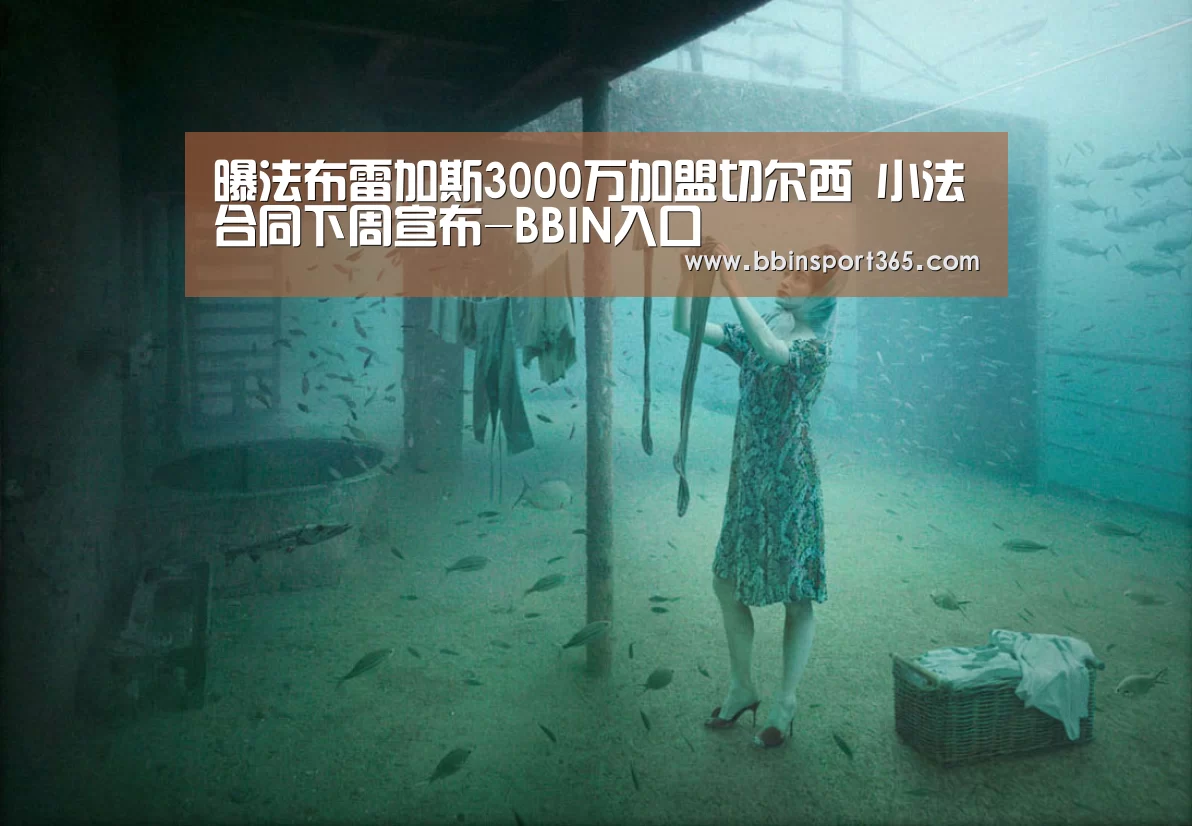 曝法布雷加斯3000万加盟切尔西 小法合同下周宣布-BBIN入口(图1) BBIN下载
