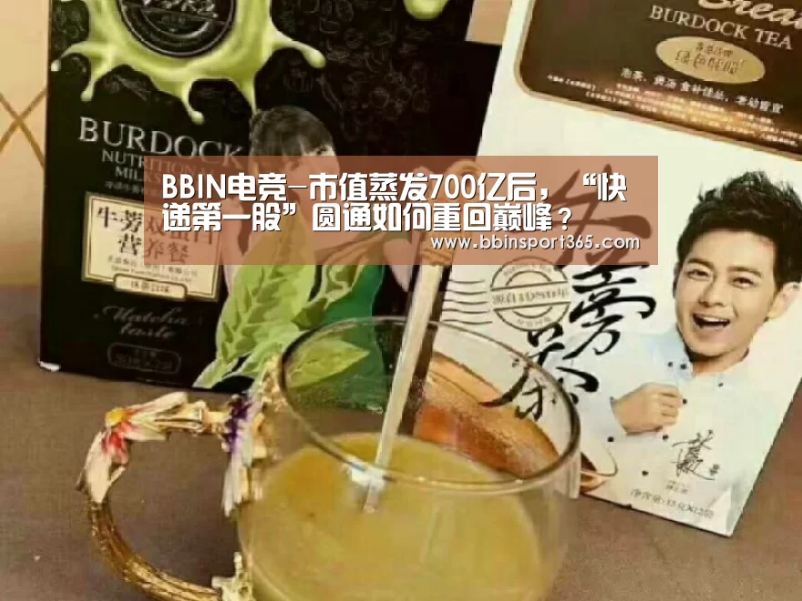 BBIN电竞-市值蒸发700亿后,“快递第一股”圆通如何重回巅峰?(图3) BBIN入口