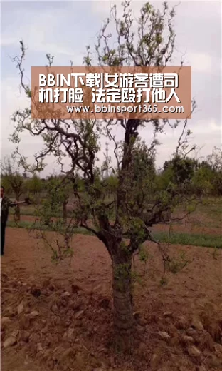 BBIN下载|女游客遭司机打脸 法定殴打他人一般怎么处罚?(图2) BBIN下载