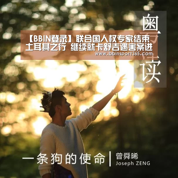 【BBIN登录】联合国人权专家结束土耳其之行 继续就卡舒吉遇害案进行人权调查(图1) BBIN电竞