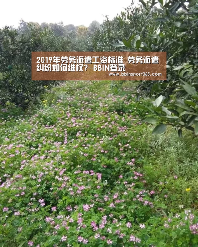 2019年劳务派遣工资标准 劳务派遣纠纷如何维权?-BBIN登录(图1) BBIN电竞