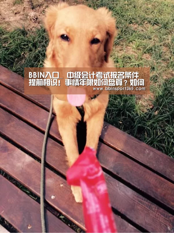 BBIN入口_
中级会计考试报名条件提前相识!事情年限如何盘算?如何证明?(图2) BBIN登录
