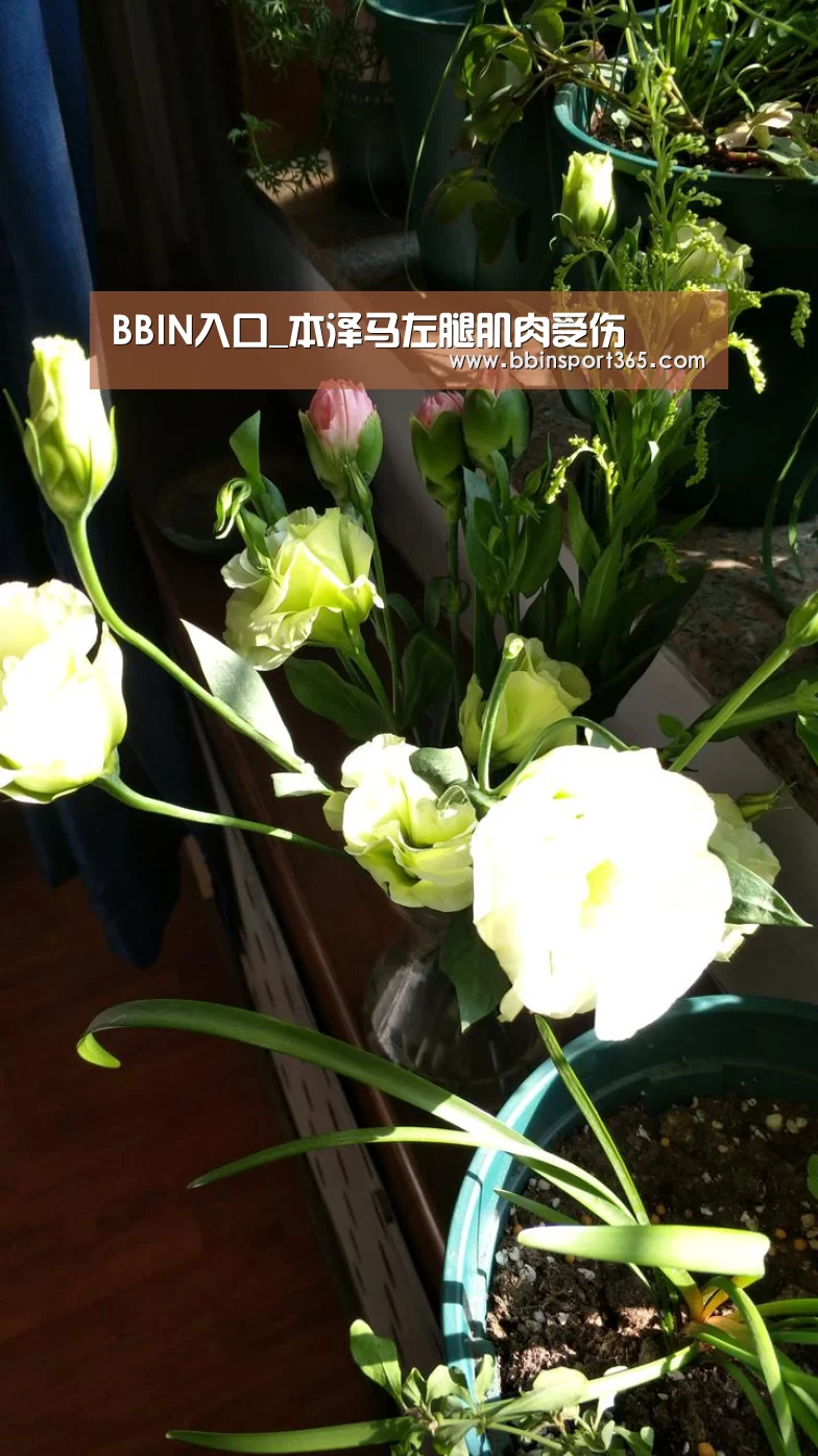 BBIN入口_本泽马左腿肌肉受伤(图1) BBIN电竞