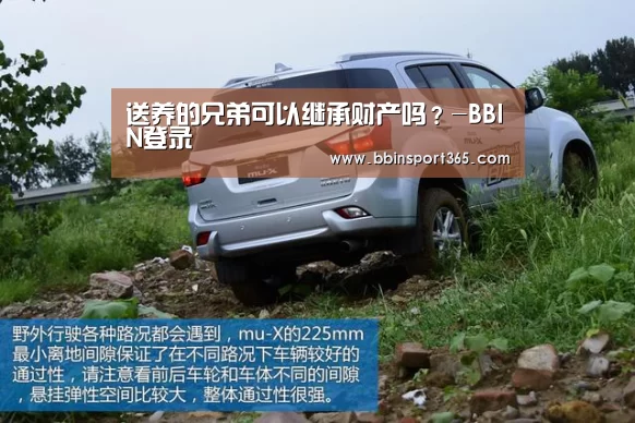 送养的兄弟可以继承财产吗?-BBIN登录(图2) BBIN入口