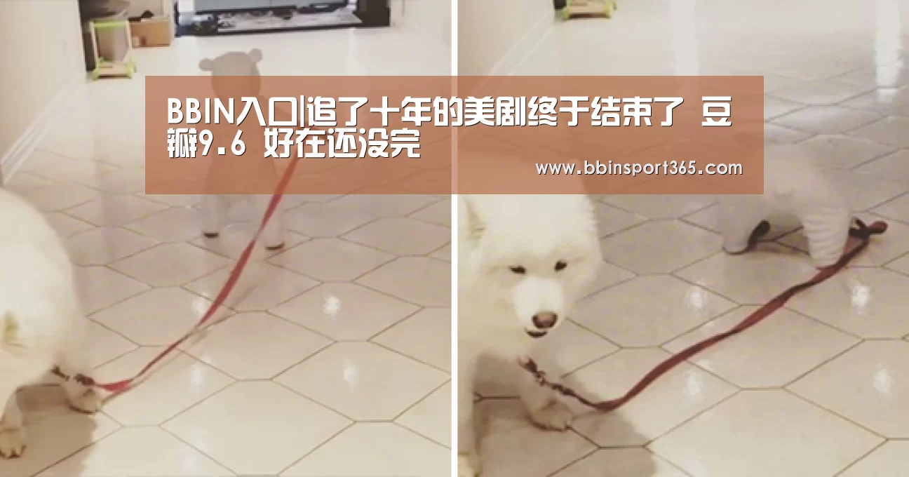 BBIN入口|追了十年的美剧终于结束了 豆瓣9.6 好在还没完(图1) BBIN电竞