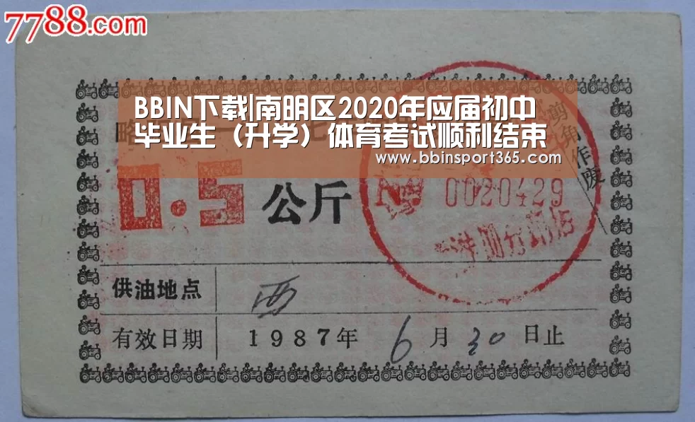 BBIN下载