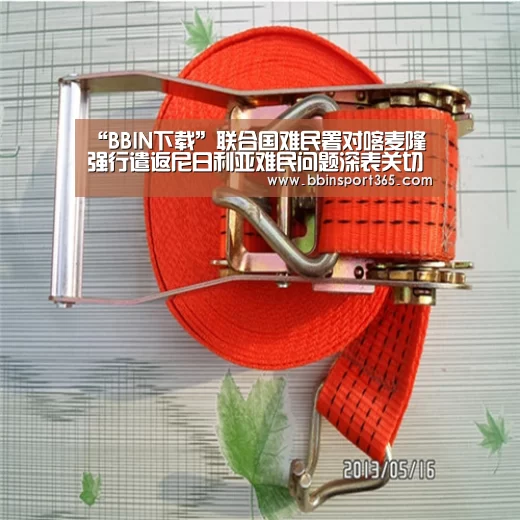 “BBIN下载”联合国难民署对喀麦隆强行遣返尼日利亚难民问题深表关切(图1) BBIN下载