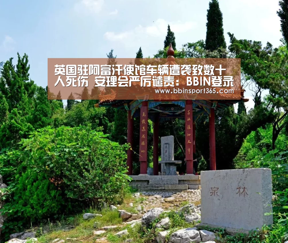 英国驻阿富汗使馆车辆遭袭致数十人死伤 安理会严厉谴责:BBIN登录(图1) BBIN入口