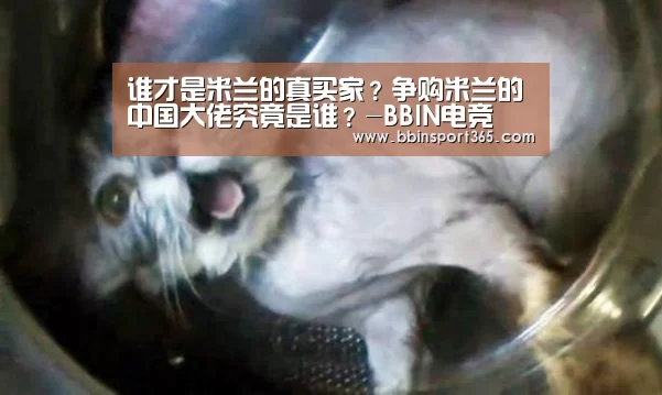 谁才是米兰的真买家?争购米兰的中国大佬究竟是谁?-BBIN电竞(图2) BBIN电竞