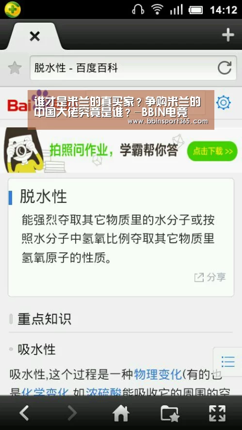 谁才是米兰的真买家?争购米兰的中国大佬究竟是谁?-BBIN电竞(图3) BBIN入口