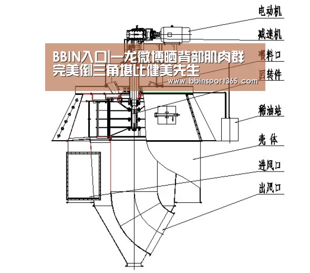 BBIN入口|一龙微博晒背部肌肉群 完美倒三角堪比健美先生(图4) BBIN入口