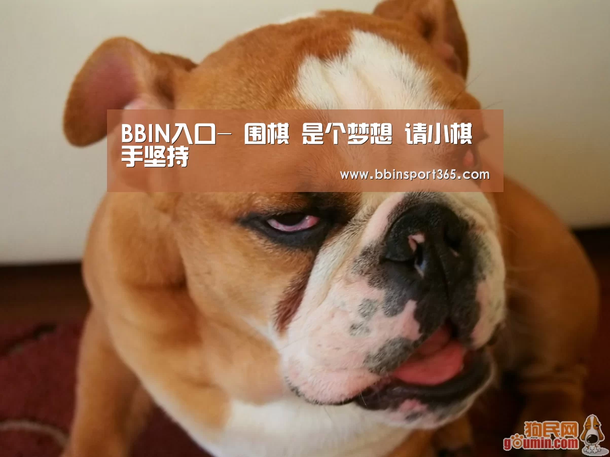 BBIN入口-
围棋 是个梦想 请小棋手坚持(图1) BBIN登录