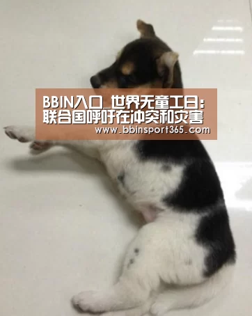 BBIN入口_世界无童工日:联合国呼吁在冲突和灾害中保护儿童免于从事童工劳动(图2) BBIN入口