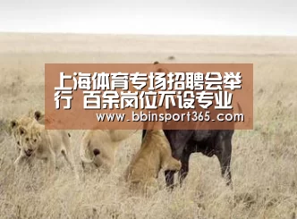 上海体育专场招聘会举行 百余岗位不设专业门槛‘BBIN下载’(图2) BBIN下载